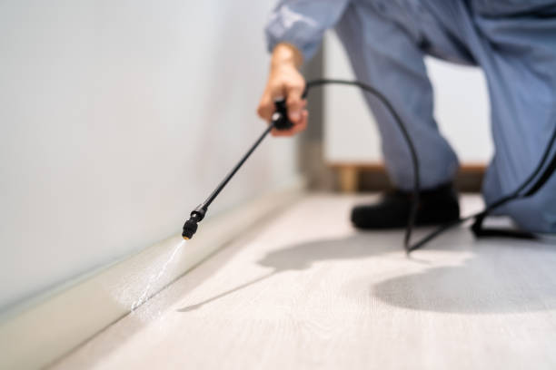 Licensed Termite Control service in Newington Forest, VA - Nex Pest Control