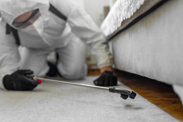 Professional Termite Control technician working in Newington Forest, VA