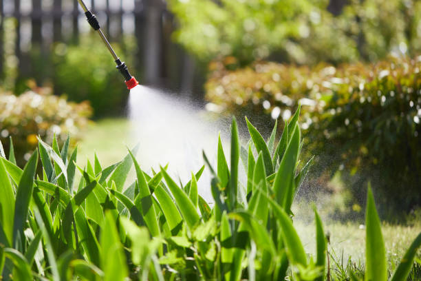 24/7 Emergency Termite Control experts in Newington Forest, VA