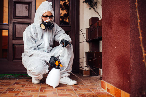 Reliable Termite Control contractor in Newington Forest, VA by Nex Pest Control