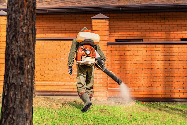 Trusted Cockroach Control service in Newington Forest, VA - Nex Pest Control